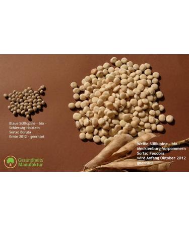 Buy Gesundo ORGANIC Lupin Flour - High Protein White Sweet Lupine - 2.5kg Bag - International Shipping Available - Buy Online on GoSupps.com