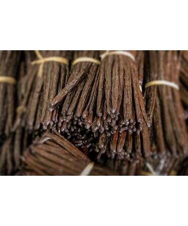 Premium Madagascar Vanilla Pods 100g - Black and Brown - Buy Online on GoSupps.com