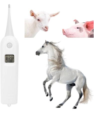 Cat Thermometer Dog Thermometer LCD Display Screen Easy to Read for Sheep for Livestock for Pigs for Cattle - Buy Online on GoSupps.com