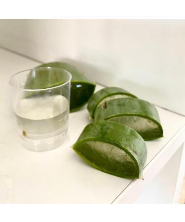 NATURAE Organic Aloe Vera Juice with pulp - 1 unit of 1000 ml (1) - Buy Online on GoSupps.com