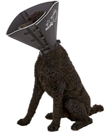 Buy All-Four-Paws Comfy Cone Medium (Extra Long) - Black | Best International Shipping - Buy Online on GoSupps.com