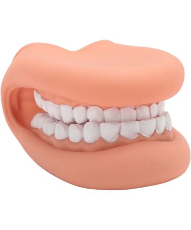 Mouth Hand Puppet - Educational Dental Care Model with Tongue for Children s Learning - Buy Online on GoSupps.com