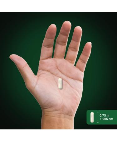 Piping Rock Milk Thistle Extract 3000mg 200 Capsules | Herbal Non-GMO Gluten-Free Supplement - Buy Online on GoSupps.com