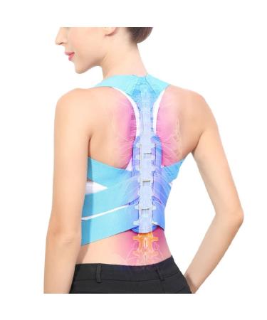 n/a Brace Support Belt Adjustable Back Posture Corrector Clavicle Spine Back Shoulder Lumbar Posture Corset (Color : Blue Size : L code) Handmade Full moon lofty ambition - Buy Online on GoSupps.com