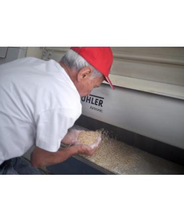 Caputo 00 Professional Flour 1kg - Ideal for Perfect Fresh Pasta & Gnocchi - Buy Online on GoSupps.com