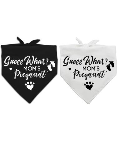 Pregnancy Announcement Dog Bandana Set for Dog Lovers - Gender Reveal Photo Prop and Pet Scarf Decorations - Pack of 2 - Buy Online on GoSupps.com