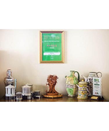  Frantoio Galantino Puglia FRANTOIO GALANTINO Intense Extra Virgin Olive Oil 5lt - Buy Online on GoSupps.com