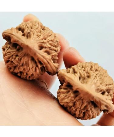 Natural Walnuts Relieve Stress And Soothe Meridian Walnuts Promote Blood Circulation Massage Walnuts Add A Walnut Cleaning Brush Walnuts Can Change Color With Play 48mm - Buy Online on GoSupps.com
