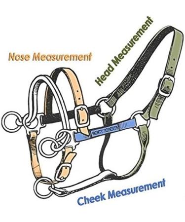 Monty Roberts Dually Headcollar - Buy Online on GoSupps.com