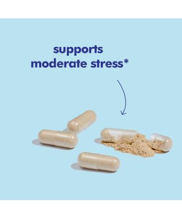 Santo Remedio Ashwagandha Capsules by Dr. Juan Rivera Stress Support Supplement 1000 mg Per Serving 180 Vegetarian Capsules No Artificial Flavors Sugar & Sodium Free Daily Wellness Support - Buy Online on GoSupps.com