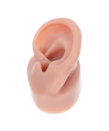 Angoily 1pc Human Ear Model Acupuncture Ear Model Earring Body Massage Tools Silicone Display Ear Acupuncture Human Ear Acupuncture Kit Simulator Student 6.5x3.5cm Coffee