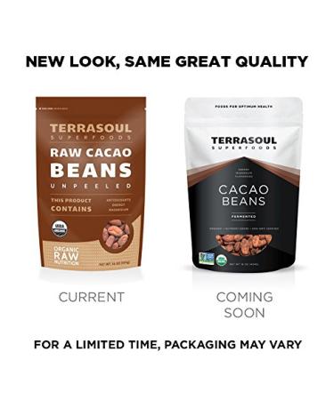 Terrasoul Superfoods Organic Criollo Cacao Beans 1lb - Raw & Pure - Buy Online on GoSupps.com