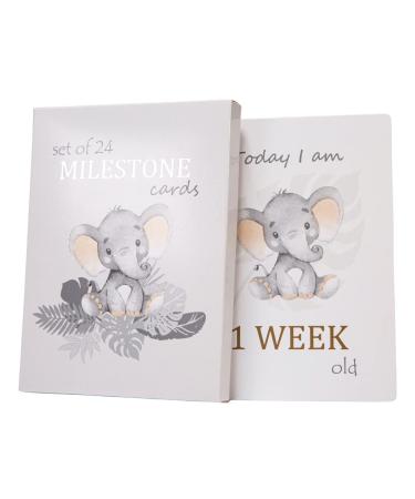 Happy Homewares Cute Baby Elephant Grey Quirky and Fun Set of 24 Milestone Cards for Boy or Girl | Perfect Baby Shower & New Born Baby Gift Idea - Buy Online on GoSupps.com