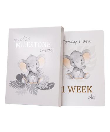 Happy Homewares Cute Baby Elephant Grey Quirky and Fun Set of 24 Milestone Cards for Boy or Girl | Perfect Baby Shower & New Born Baby Gift Idea