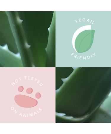 Sunday Rain Aloe Vera & Gentle Mint Body Scrub for Dry Skin Vegan & Cruelty Free 265g - Buy Online on GoSupps.com