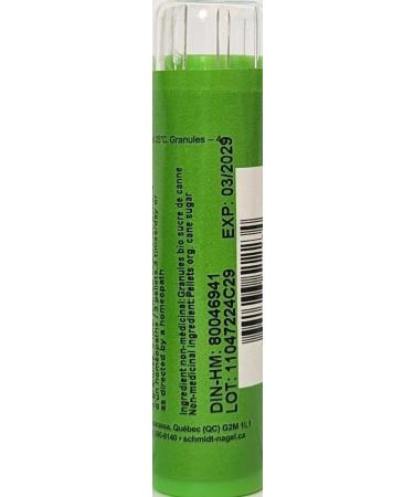 Veratrum Album MK (1M) Homeopathy Medicine Schmidt-Nagel Canada (Homeodel) 90 pellets/granules - Buy Online on GoSupps.com
