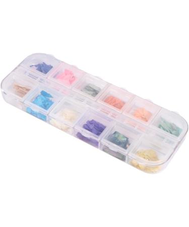 Beavorty 2 Boxes Nail Decoration Lady's Nail Art Glass Ornaments Gemstones for Nails Seashell Decor Trendy Decor Nail Gems Manicure Decoration Manicure Patches Fashion Decorate Accessories - Buy Online on GoSupps.com