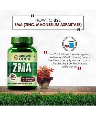 ZMA Nighttime Recovery Supplement - 120 Veg Tablets | Zinc + Magnesium Aspartate Formula - Buy Online on GoSupps.com