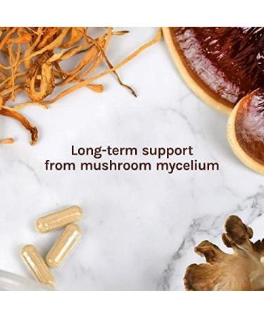 Organic Lion's Mane Mushroom Powder 100g - Sol Nutrition | Pack of 1 (500g) - Buy Online on GoSupps.com