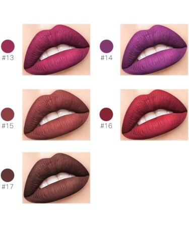 INTEROOKIE 21 Colors Matte Liquid Lipstick Lip Gloss Stain Resistant Non-Fade Lip Icing (8#) - Buy Online on GoSupps.com