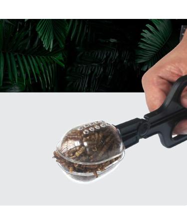 Feeding Tools for Aquariums & Reptiles - Scissors Clamps & Tongs | International Shipping Available - Buy Online on GoSupps.com