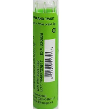 Theridion 30CH Homeopathy Medicine Schmidt-Nagel Canada (Homeodel) 90 pellets/granules - Buy Online on GoSupps.com