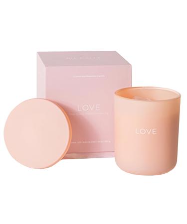 Jill & Ally Love Crystal Manifestation Candle with Lid - Mediterranean Fig Scented with Rose Quartz 100% Soy 45 Hours Burn Time Romantic Aromatherapy for Self-Love and Relationships