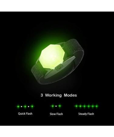 Laroo Safety LED Lights for Dogs & Cats - USB Rechargeable Waterproof Night Walking Collar Light (Green) - Buy Online on GoSupps.com