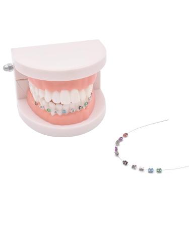 Angzhili Temporary Tooth Decoration Practice Props with Metal Bracket, Wires, and Ligature Ties - Buy Online on GoSupps.com