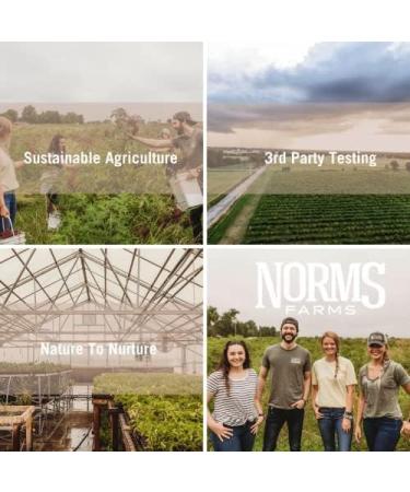 Norm's Farms Elderberry Antioxidant Gummies - Daily Refresh w/MitoHeal 500mg Red & Black Currant Extract - Sleep Mood Skin Hair & Nail Support - USA Made Vegan Non-GMO Gluten-Free - 45 Gummies - Buy Online on GoSupps.com