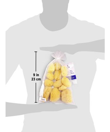 Natural Sea Silk Sponges 12pk | Size 1.5-3 | Cosmetic Use, Makeup Application & Removal | Face & Eye Cleaning | Luxury Gift Bag by Constantia Beauty - Buy Online on GoSupps.com