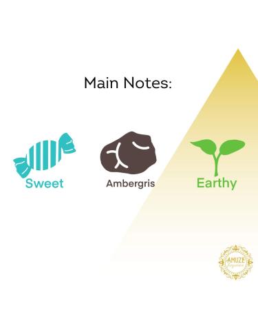 Amber Liquid 12 ml - METAL | Premium Perfume Oil | Attar Oil | Alcohol-Free | Vegan & Cruelty-Free - Buy Online on GoSupps.com