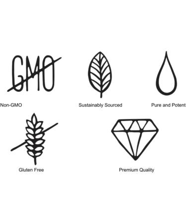 Buy Arnica Montana Capsules (30 Count) - Natural Pain Relief Supplements for International Shipping - Buy Online on GoSupps.com