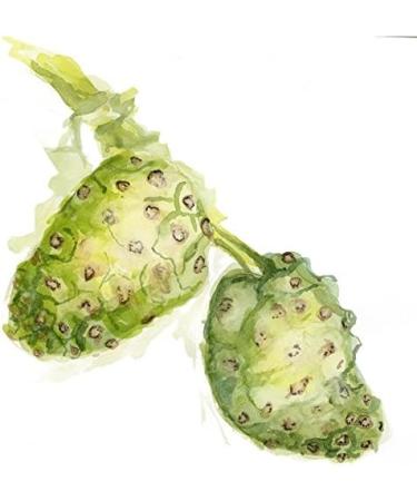 Maui Medicinal Herbs Noni 240 Veggie Capsules (2 Bottles 120 Vcaps per Bottle) - 400mg per Capsule : Organic Whole Fruit (240) - Buy Online on GoSupps.com