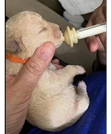 Pet Nipple & Syringes for Newborn Puppies & Kittens | Ideal for Small Mammals - 6 Pack - Buy Online on GoSupps.com