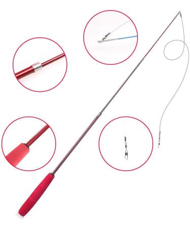 H02NLE Cat Teaser Wand with 5 Refills - Interactive Feather Toys for Indoor Cats - Buy Online on GoSupps.com