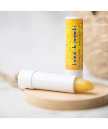 Pack x 3 Organic Lip Balm 5g each. Lip repairer that nourishes and regenerates. Moisturizing lips that prevent cracks and photoaging. - Buy Online on GoSupps.com