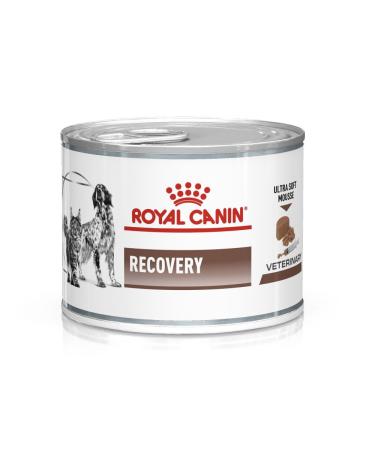 Royal Canin Veterinary Diet Recovery Dog/Cat Food