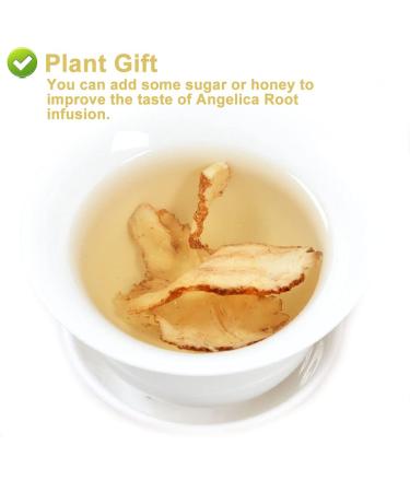 Buy Organic Angelica Root 70g - Dried Cut Root & Tea | Premium Archangelica Officinalis for Herbal Remedies - International Shipping - Buy Online on GoSupps.com