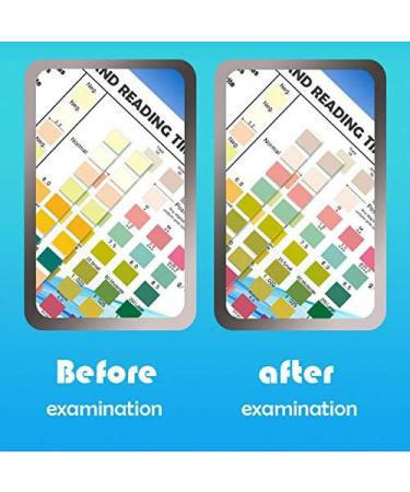 Opaeroo Bottle Rapid Test Paper - 10 Parameters 100pcs & 300pcs | Fast International Shipping - Buy Online on GoSupps.com