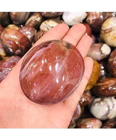 1pc Natural red Silicified Wood Quartz Crystal Palm Size Tumbled Stone Crafts for Decorative Gift Natural Stones and Minerals - Buy Online on GoSupps.com
