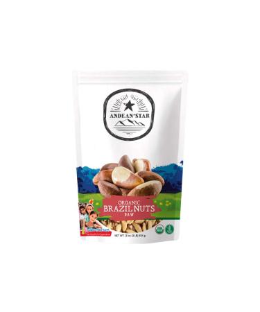 Andean Star Organic Brazil Nuts (16 oz.) Raw, fresh, No shell, Unsalted, hermetically-sealed - Rich in selenium, protein, magnesium, vitamins, & fiber. Promotes digestive function and immune system