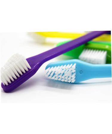 Housoutil 2pcs Toothbrushes Dog Toothbrush and Toothpaste Cat Dog Toothbrush Pet Supplies Golden Retriever - Buy Online on GoSupps.com