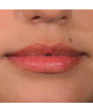 Palladio Lip Stain - Hydrating and Waterproof Matte Color for Long-lasting All Day Wear, Pinky - 1 Count - Buy Online on GoSupps.com