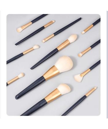 12 Star Action Makeup Brush Set - Soft Hair Beginner Powder & Blusher Brushes - Eye Shadow Brush - Blue - Buy Online on GoSupps.com