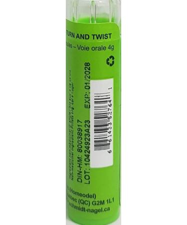 Dulcamara 6CH Homeopathy Medicine Schmidt-Nagel Canada (Homeodel) 90 pellets/granules - Buy Online on GoSupps.com