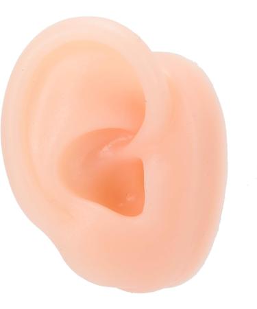 Chanmea Multi-Purpose Human Ear Model - Soft Teaching Tube for Hearing Aid Simulation & Practical Exercises - Buy Online on GoSupps.com