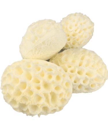 ROVOS Natural Wool Sponge - Exfoliating Body Shower Sponge Replacement - Buy Online on GoSupps.com