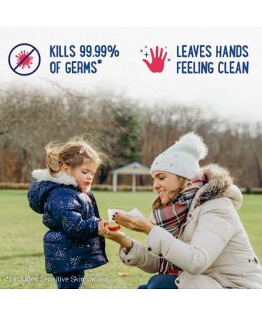 Wet Ones Antibacterial Hand Wipes - Fresh Scent 40ct Canister (Pack of 3) - Buy Online on GoSupps.com