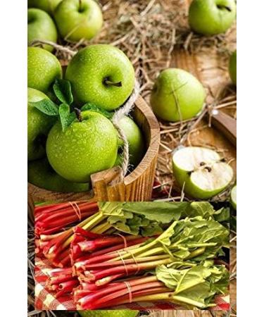Premium Sauna Infusion Concentrate - Rhubarb-Apple 250ml | Fragrant Moments | International Shipping - Buy Online on GoSupps.com